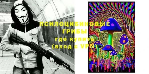 apvp Михайловск