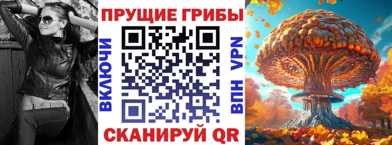 Галлюциногенные грибы Psilocybe  купить закладку  ссылка на мегу ONION  Юрюзань 